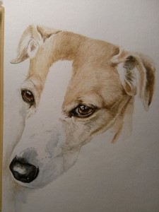 s_Anka 2